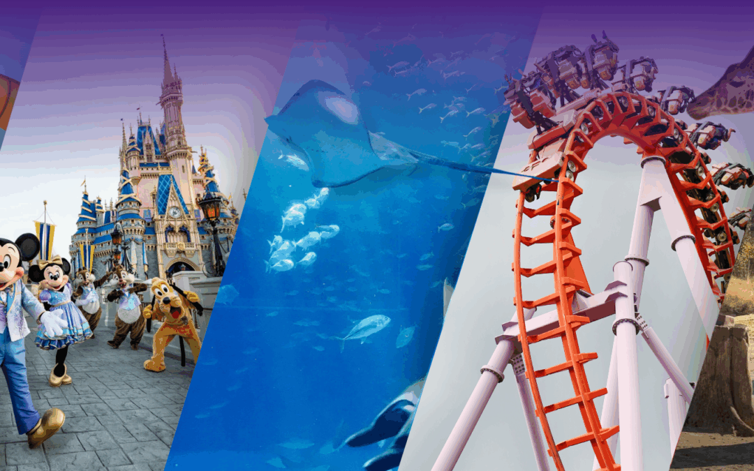 Member Benefits: More Than You Might Expect!